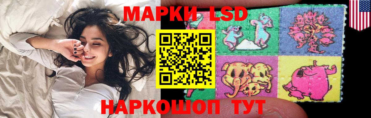Галлюциногенные грибы Чита