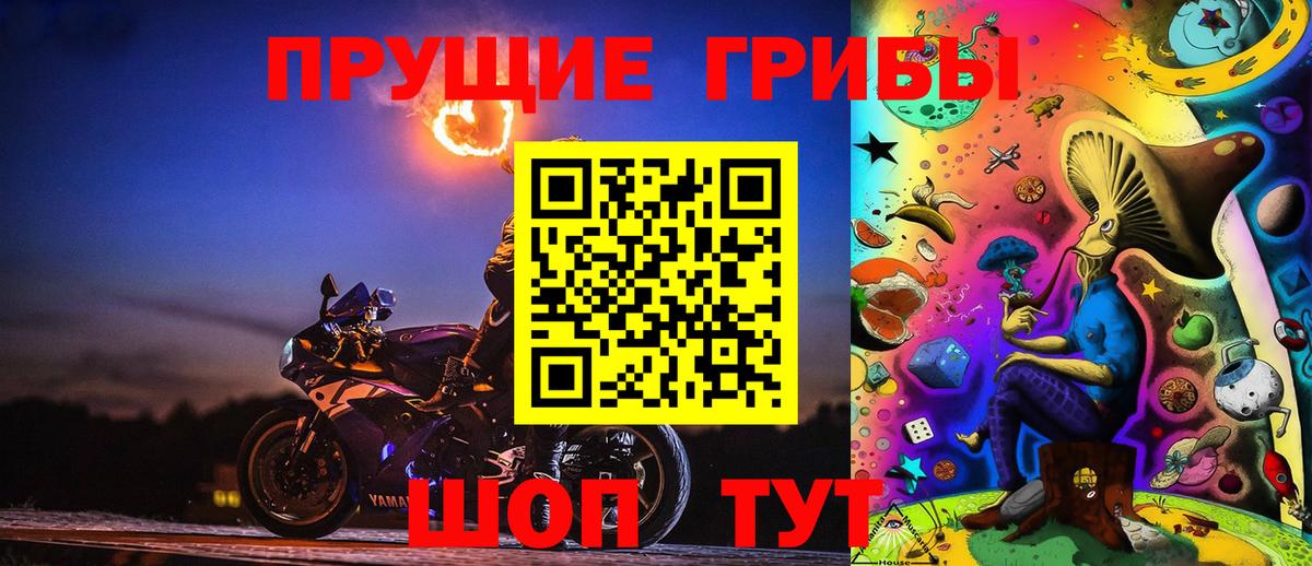 Псилоцибиновые грибы Cubensis Чита