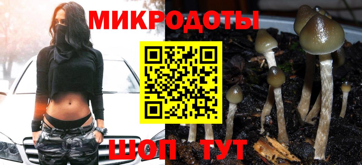 Чита  Галлюциногенные грибы Cubensis  Галлюциногенные грибы ЛСД  Вход с VPN 